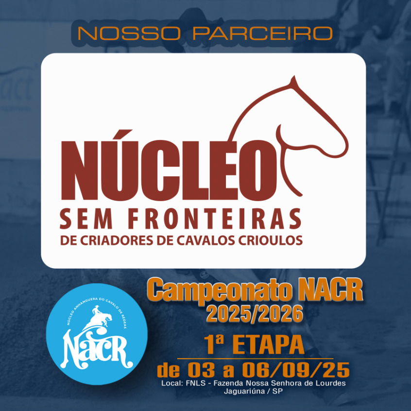 Núcleo Sem Fronteiras